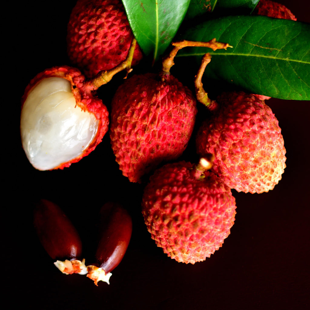 Lychee Aurora EDP